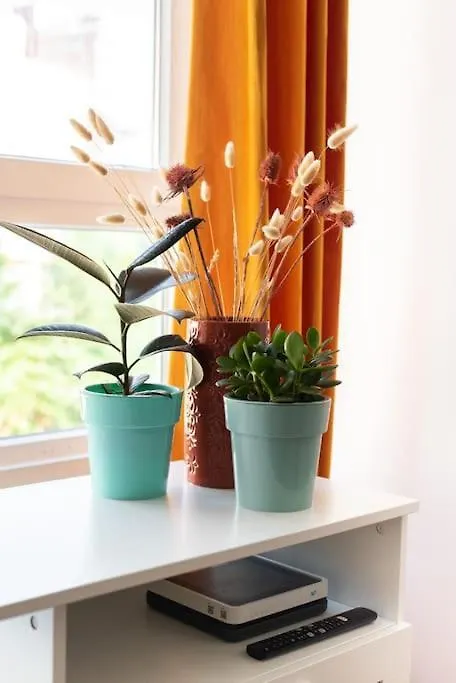 Cozy Apartment In The City Center Santander